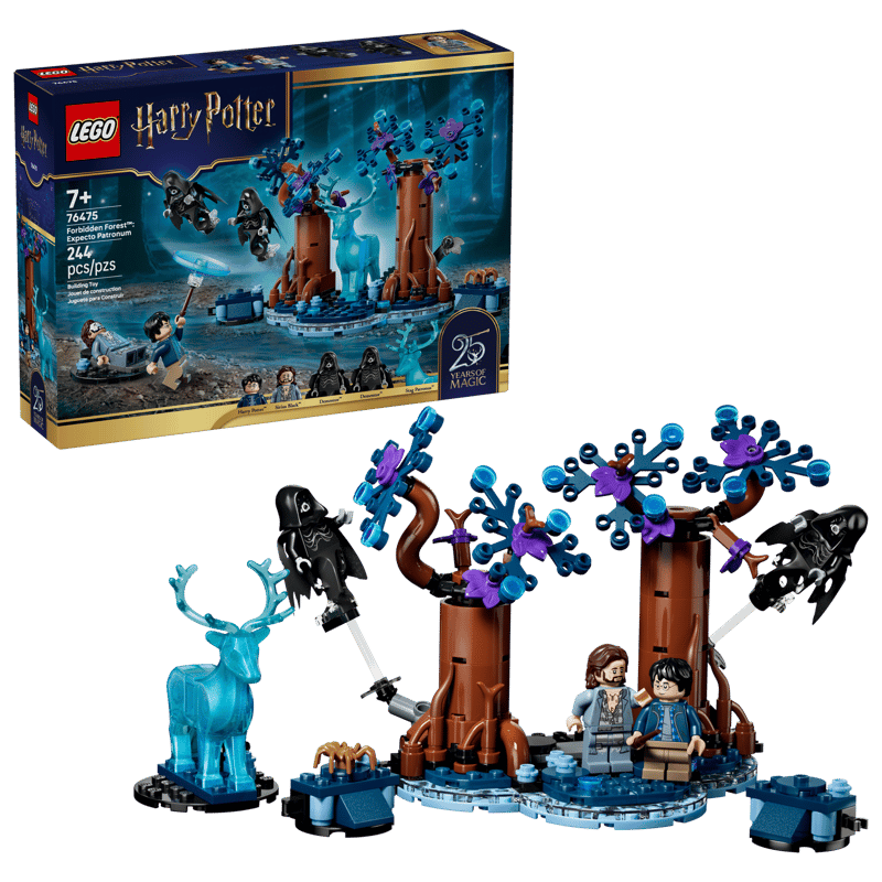 Forbidden Forest