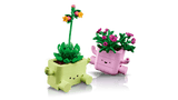 Rocking Plants