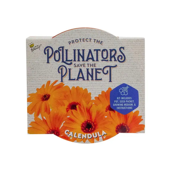 Calendula Pollinator Classic Terra Cotta | The Wooden Horse