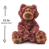 GUND Forever Friends Promise: Philbin Bear 12in
