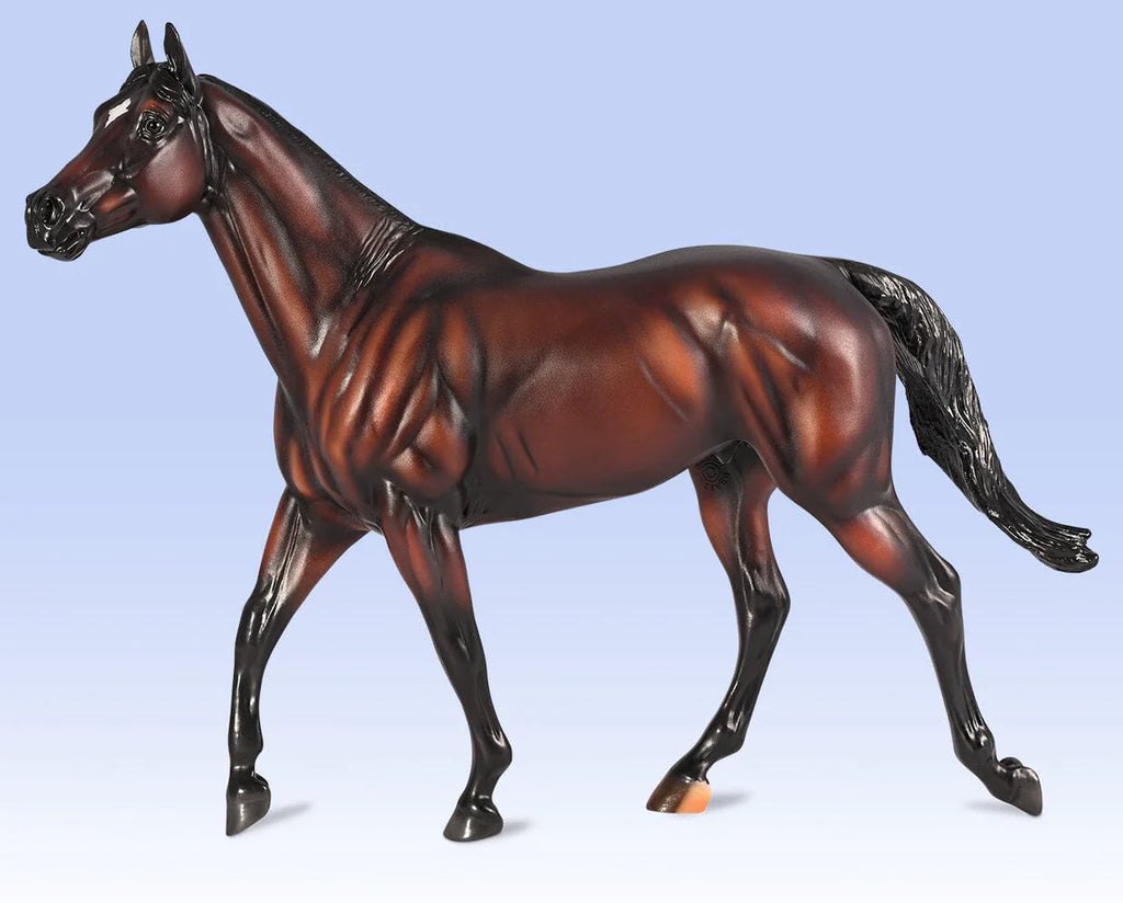 Cody's Wish - Racehorse