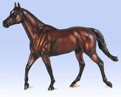 Cody's Wish - Racehorse