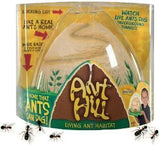 Ant Hill