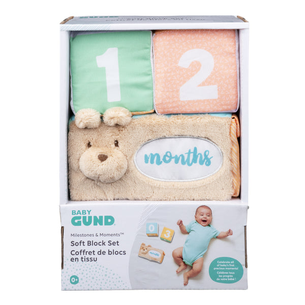 Milestones & Moments Block Set