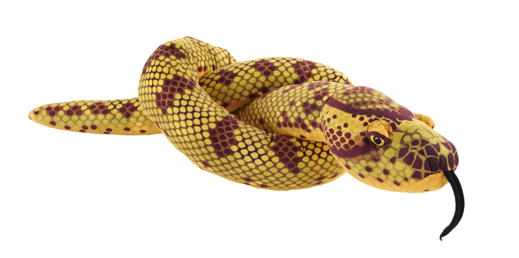 Snake-Eco Anaconda