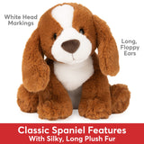 Kian Spaniel 10in