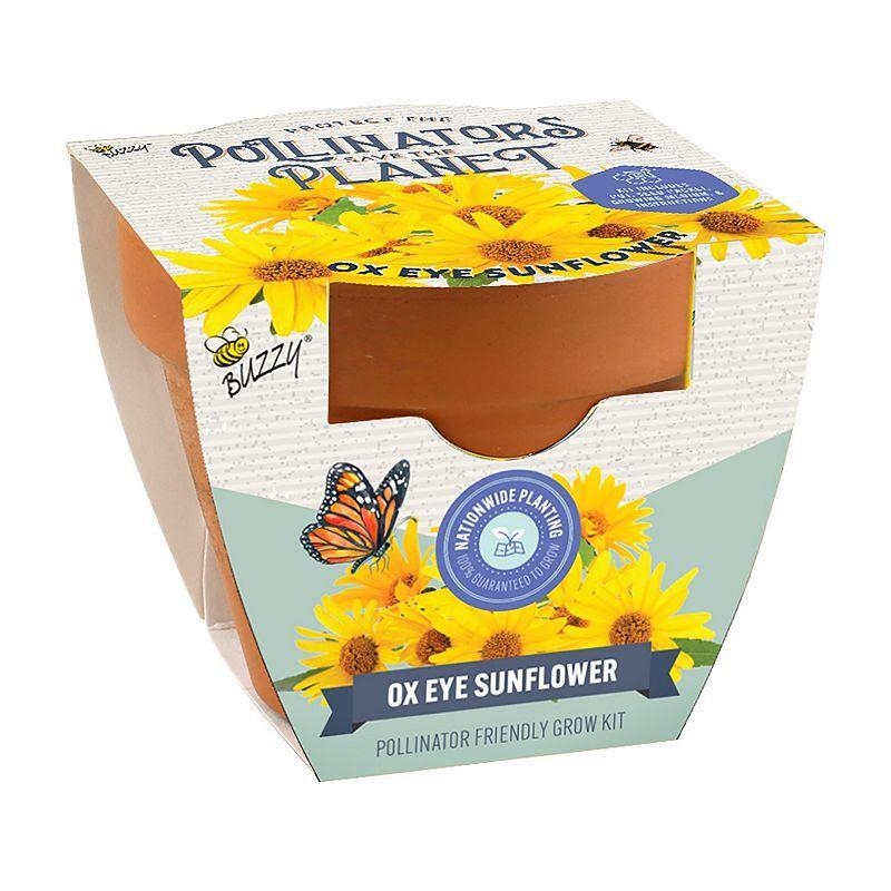 Ox Eye Sunflower Pollinator Classic Terra Cotta