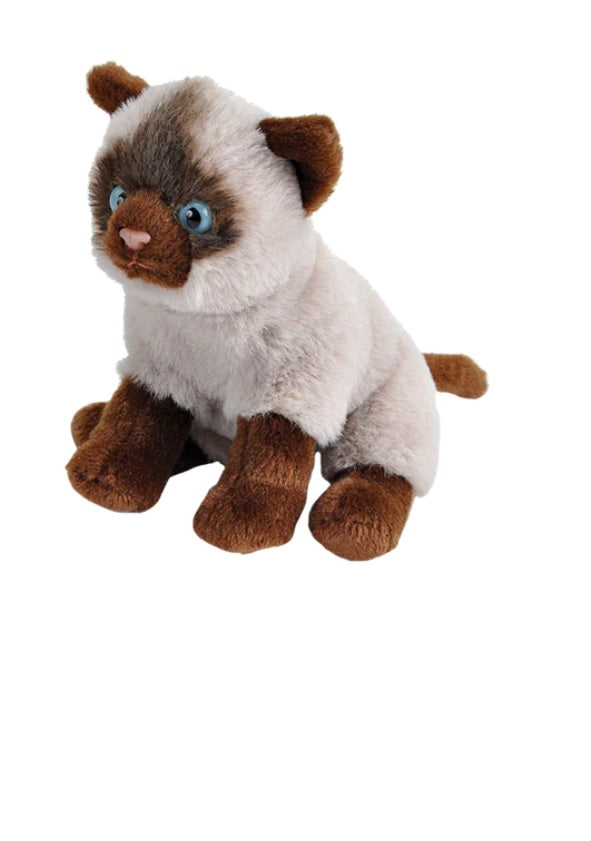 Siamese Cat Pocketkins