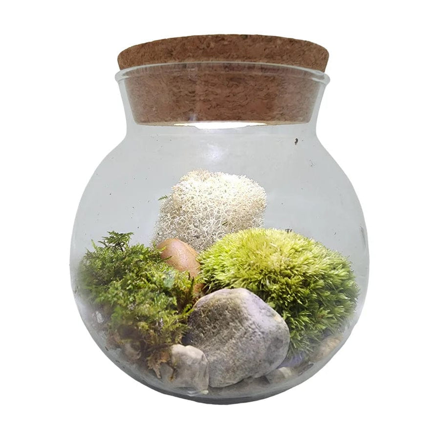 MossBowl