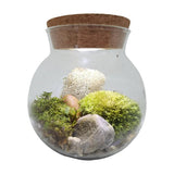 MossBowl