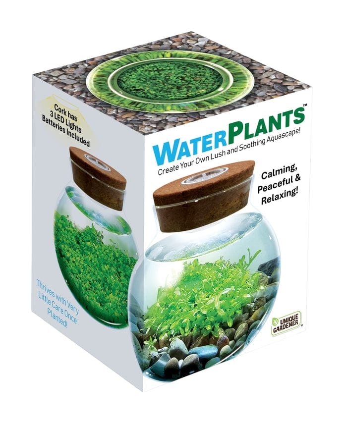 WaterPants