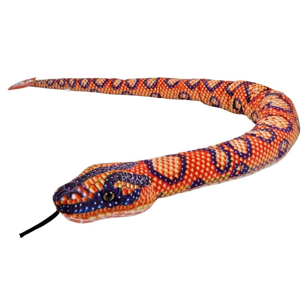 Rainbow Boa Scales Snake