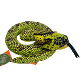 Snake-Coiled Green Anaconda