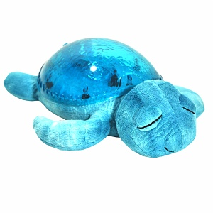 Tranquil Turtle Aqua