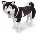 Husky - Plush