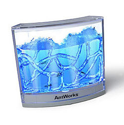 Antworks Illuminated