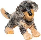 Nipper-Cattle Dog/Retriever Mix