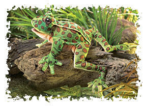 Leopard Frog