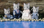 Fisher Cat Family