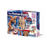 Human Body
