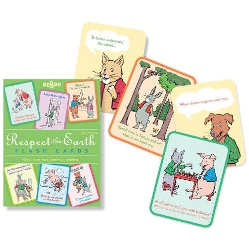 DNO Respect the Earth Eco Flash Cards