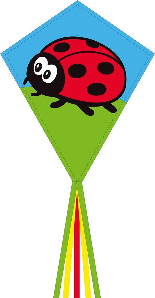 Eddy Ladybug 28"