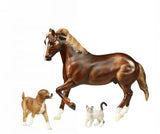2011 Animal Rescue Benefit Program to Benefit ASPCA