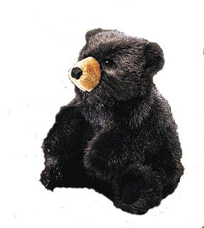 Baby Black Bear