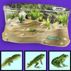 Planet Frog