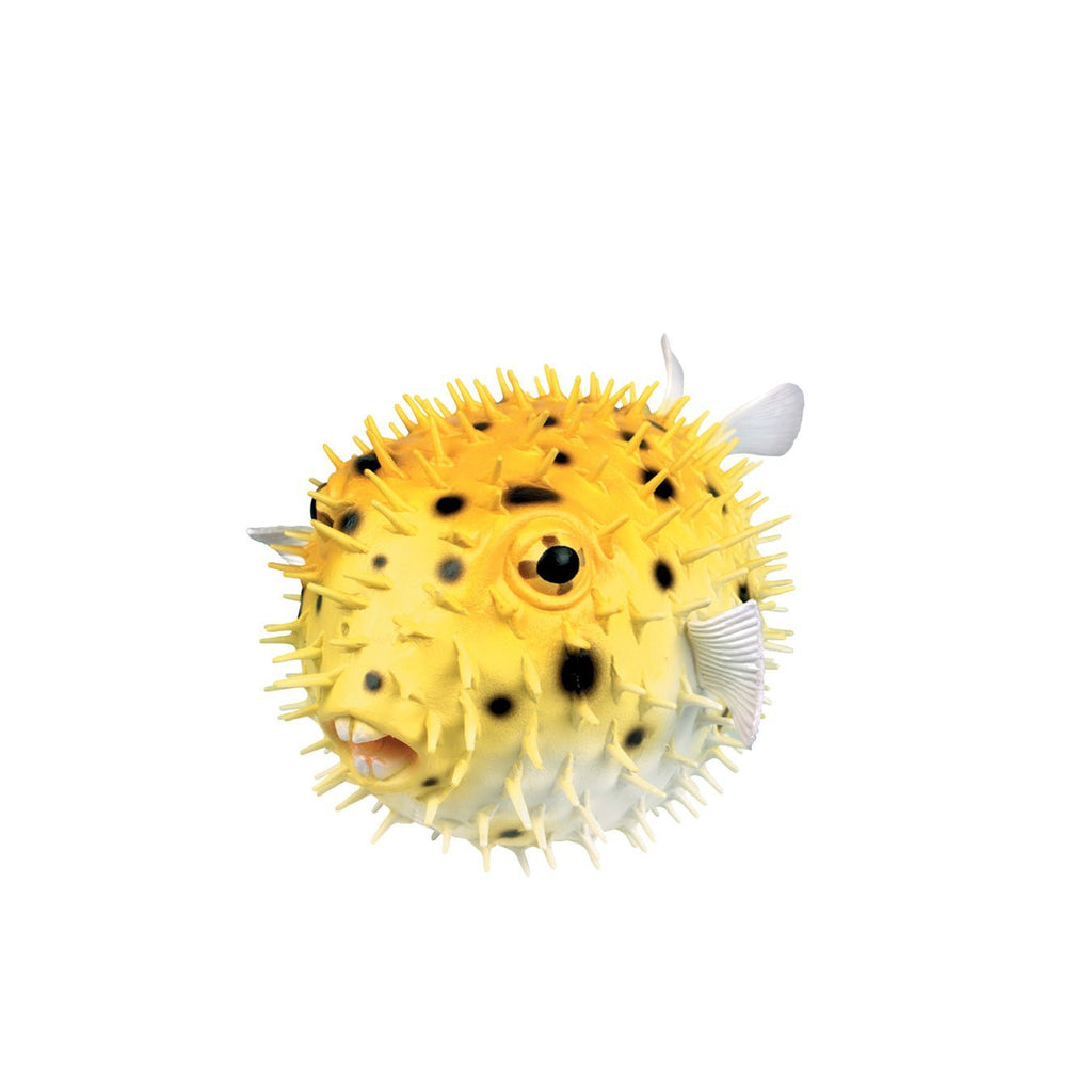 PORCUPINE FISH SQUIRT