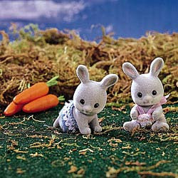 Cottontail Rabbit Twins