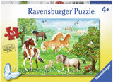 Mustang Meadow 60pc Puzzle