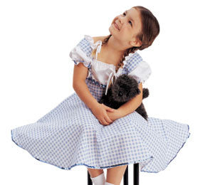 Dorothy's Dress