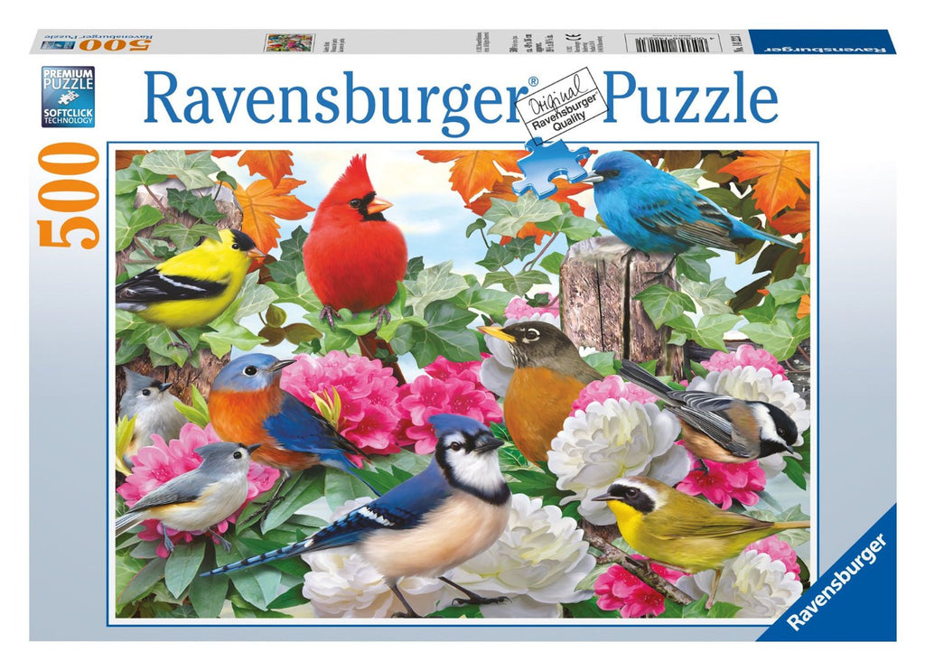 Garden Birds