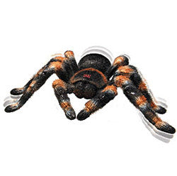 R/C Tarantula