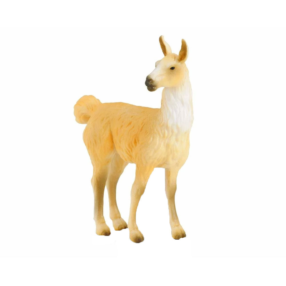 Llama