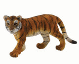 Tiger Cub