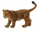 Lion Cub