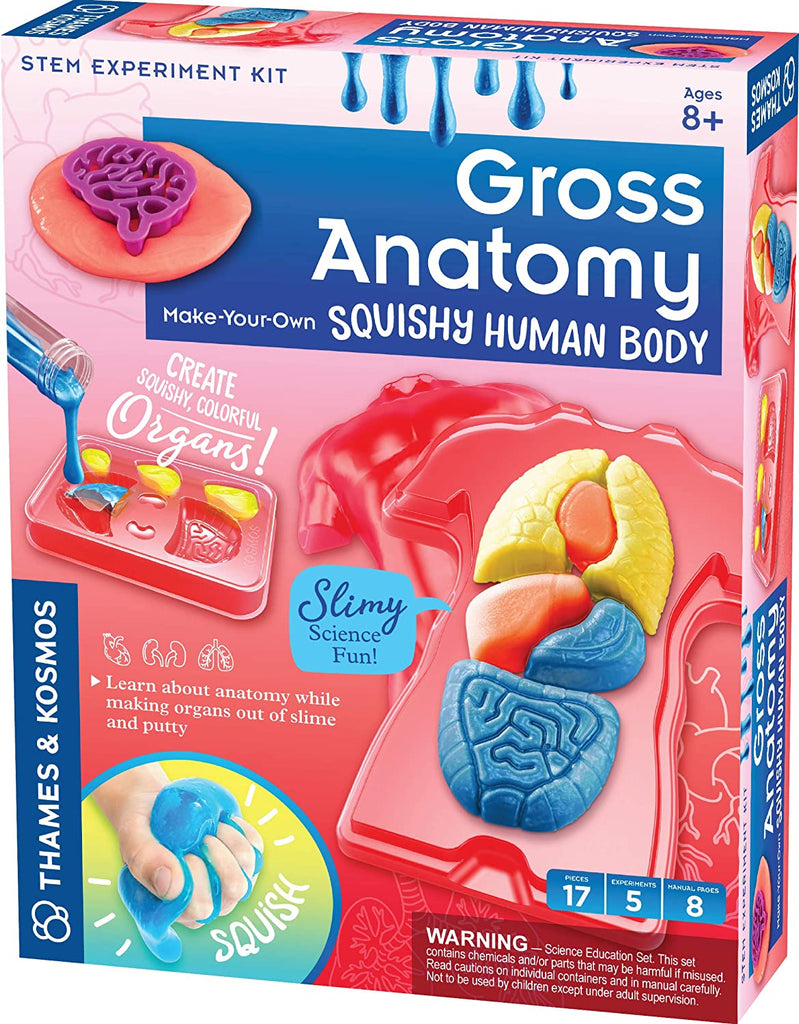 Squishy Human Make-Your-Own Gross Anatomy