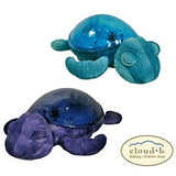 Tranquil Turtle-Ocean