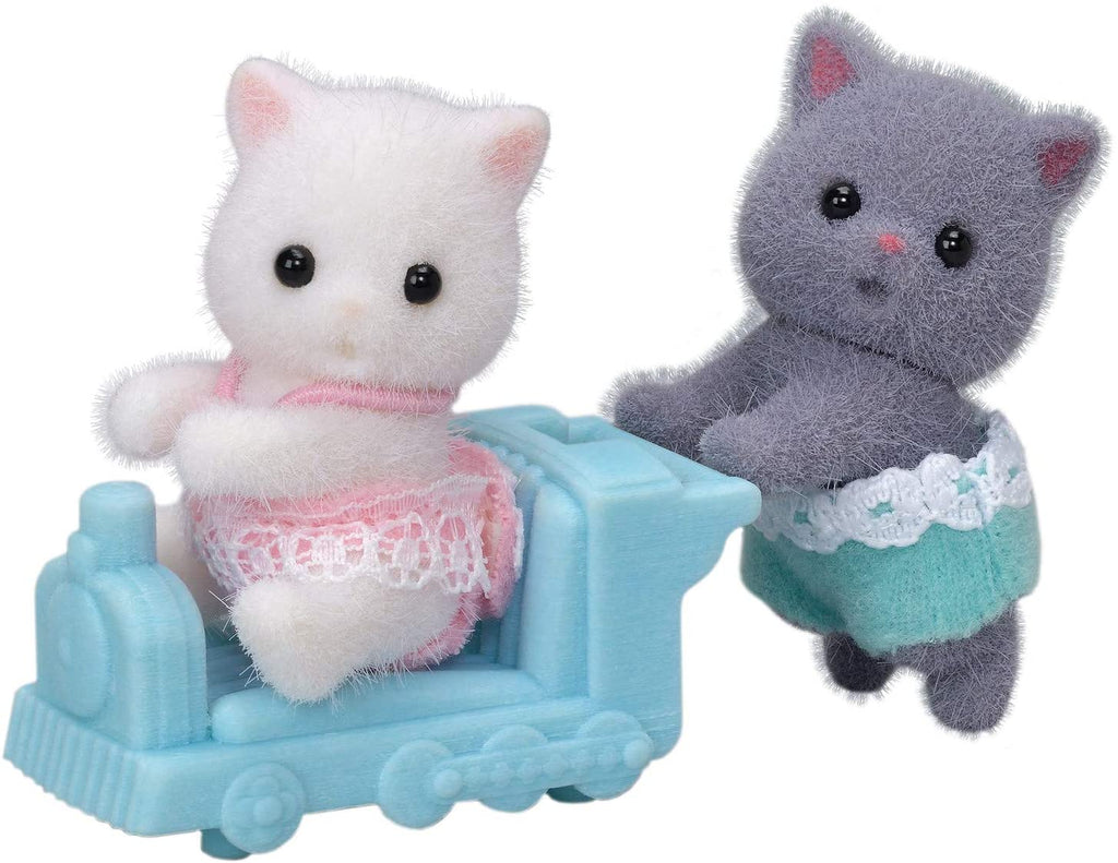 Twins Persian Cat