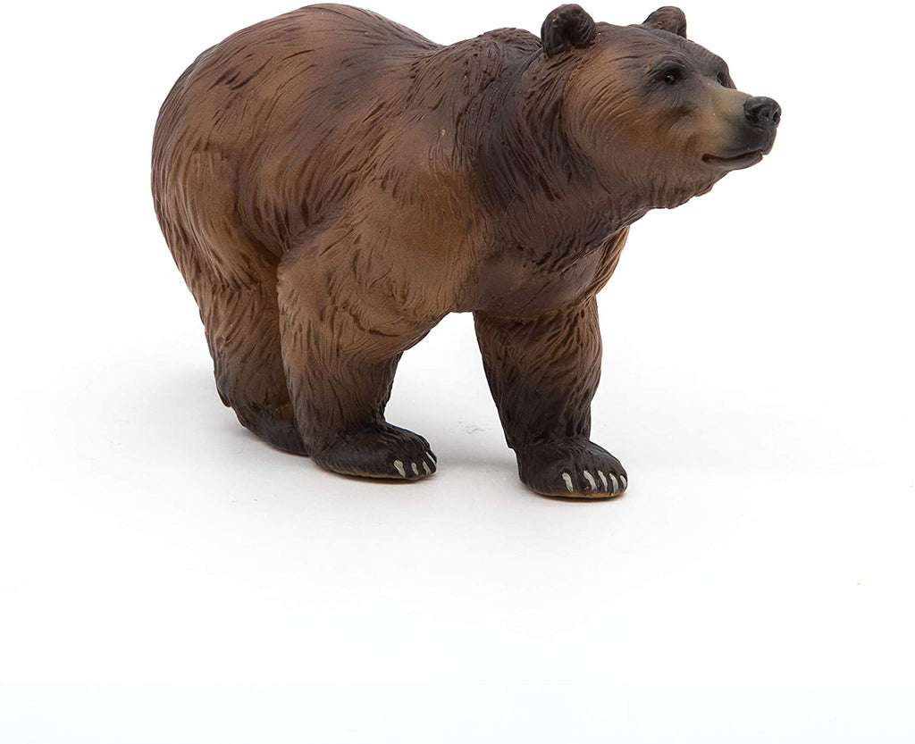 Pyrenees Bear