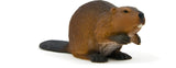 Beaver