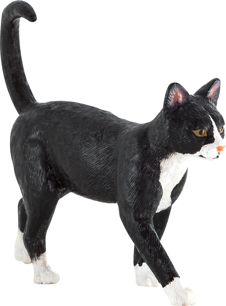 Cat Black & White