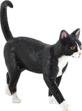 Cat Black and White