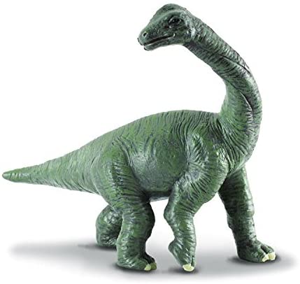 Brachiosaurus Baby