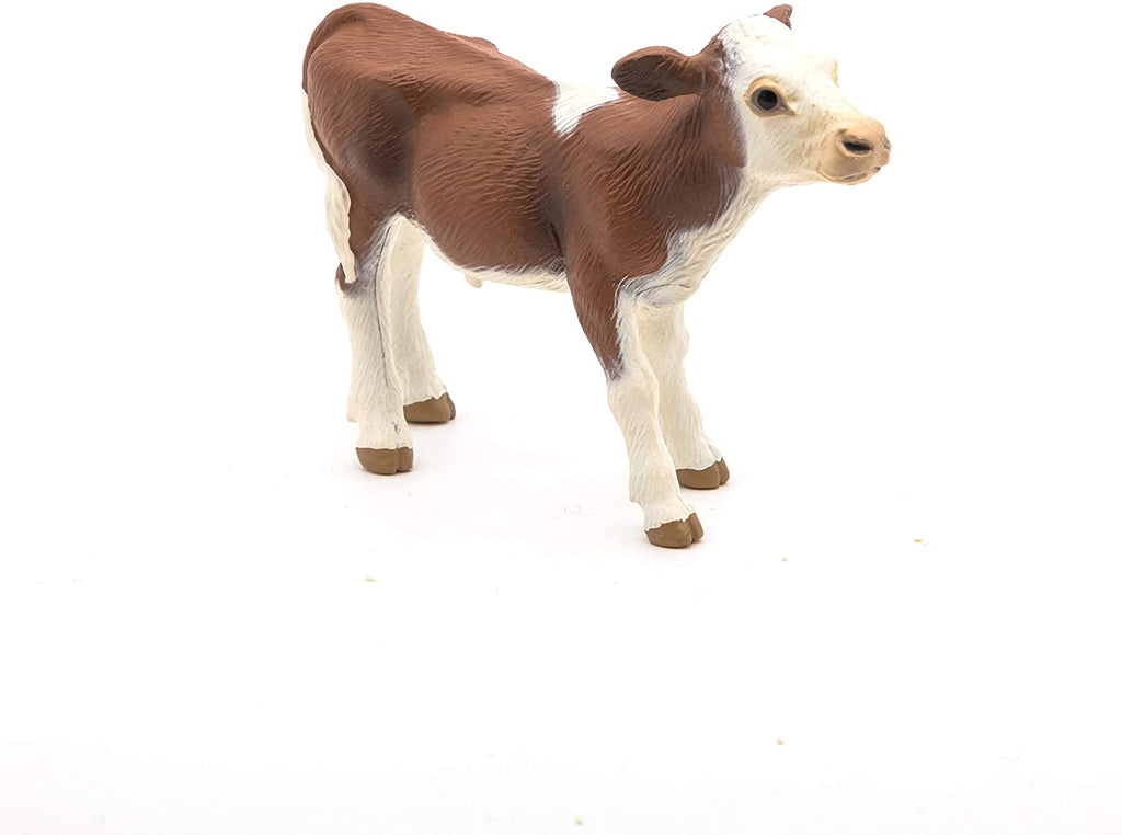 Simmental Calf