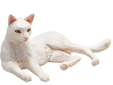 Cat Lying White