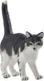 Black & White Cat