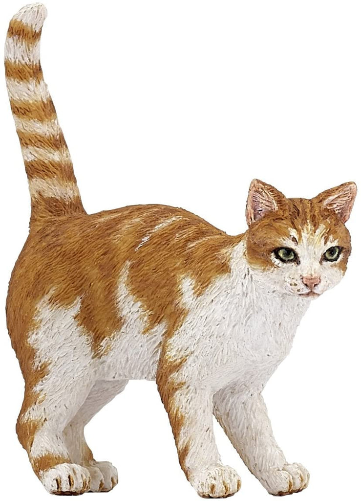 Red Cat